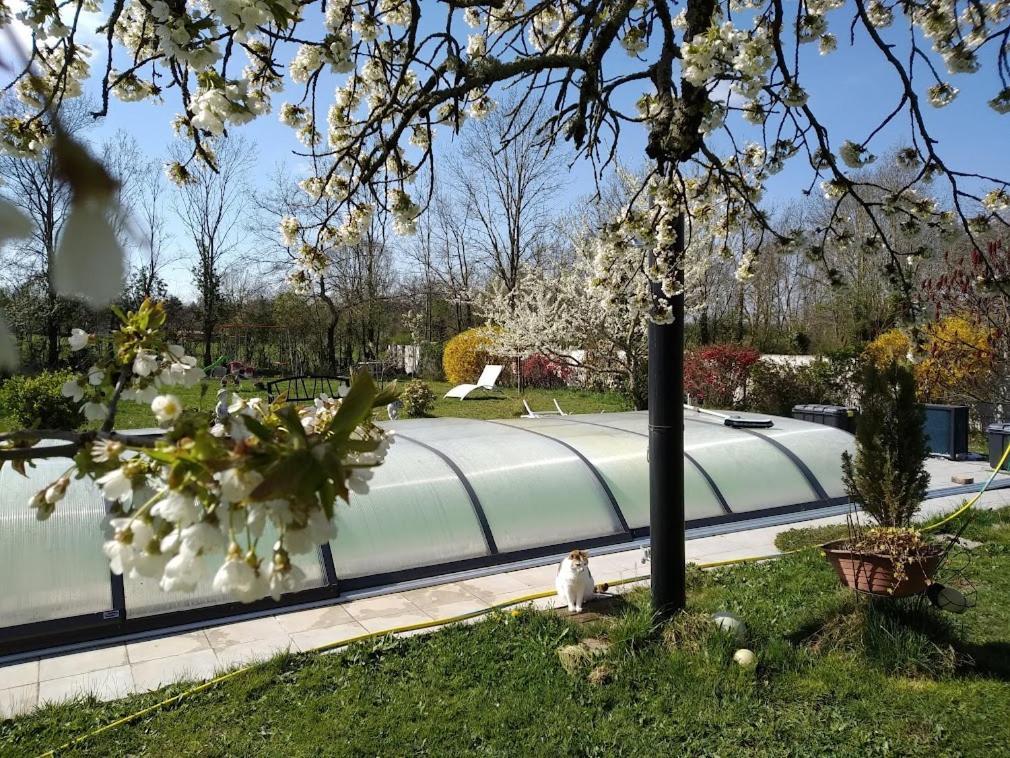La Longere Des Gillettes Bed & Breakfast Bézenet Dış mekan fotoğraf