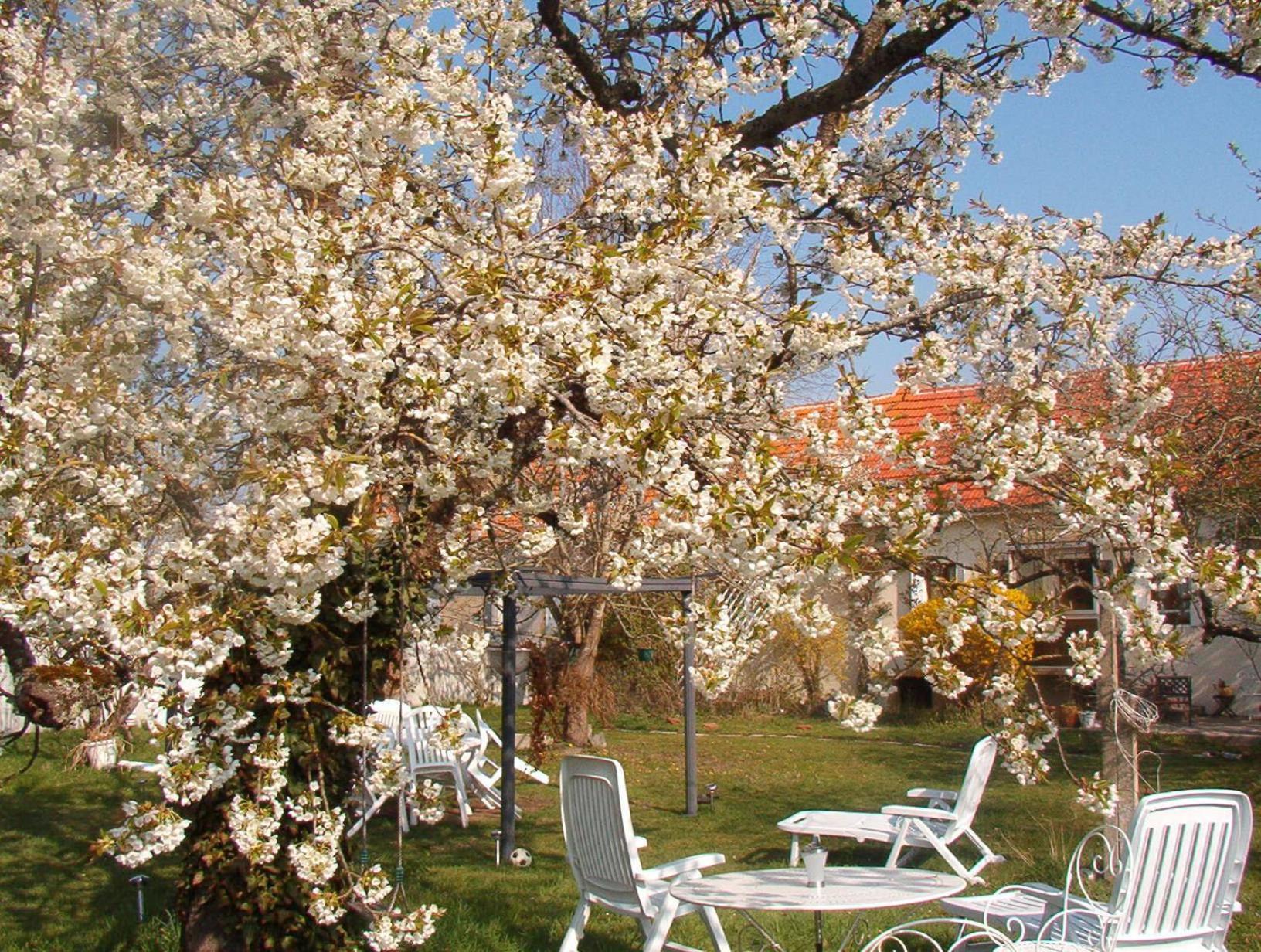 La Longere Des Gillettes Bed & Breakfast Bézenet Dış mekan fotoğraf
