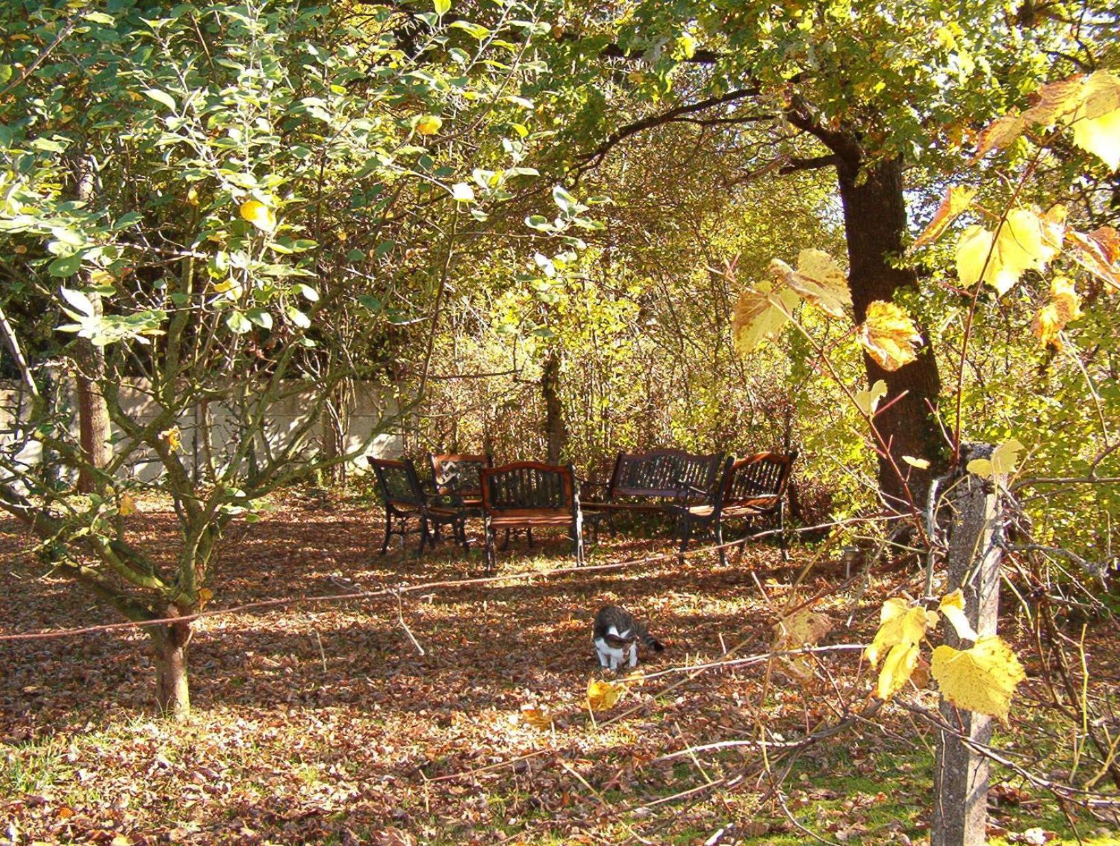 La Longere Des Gillettes Bed & Breakfast Bézenet Dış mekan fotoğraf